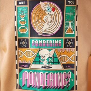 ANIMANIACS X SHEIN Cartoon Graphic Sweatshirt with Bold Design & Sweatpants Set